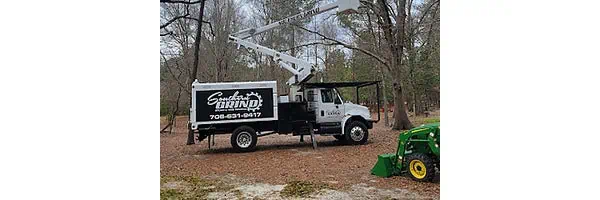 Southern Grind Stump & Tree Removal